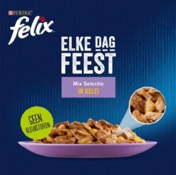 Felix Elke Dag Feest Mix Selectie In Gelei - Katten Natvoer - 80 X 85g 17 Felix Elke Dag Feest Mix Selectie In Gelei - Katten Natvoer - 80 X 85g -Kattenproducten 1200x1193 2