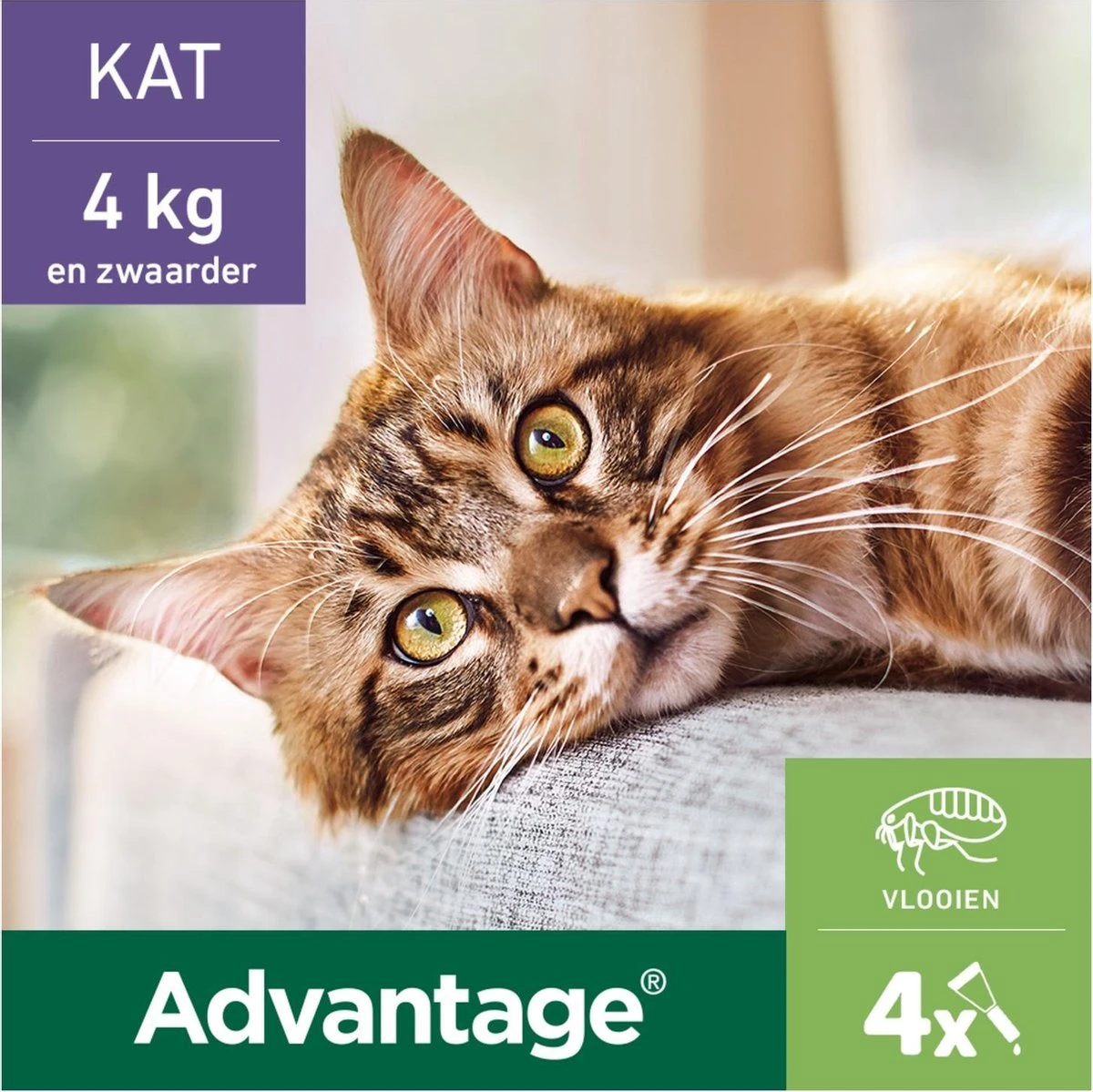 Bayer Anti Vlooienmiddel Advantage 80 > 4 Kg - 4 X 0,8 Ml 8 Bayer Anti Vlooienmiddel Advantage 80 > 4 Kg - 4 X 0,8 Ml - Afbeelding 6