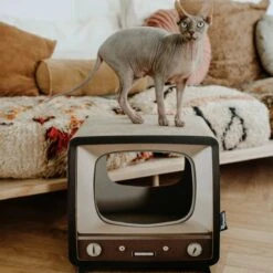District 70 TELLY - Retro TV Krabmeubel - Instagrammable Kartonnen TV Voor Katten - 39 X 27 X 37 Cm 17 District 70 TELLY - Retro TV Krabmeubel - Instagrammable Kartonnen TV Voor Katten - 39 X 27 X 37 Cm -Kattenproducten 1200x1200 1001