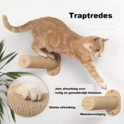 Klimmuur Kat XXL Editie - Krabpaal - Katten Klimmuur - Katten Klim Wand - Met Hangmat 22 Klimmuur Kat XXL Editie - Krabpaal - Katten Klimmuur - Katten Klim Wand - Met Hangmat -Kattenproducten 1200x1200 1017