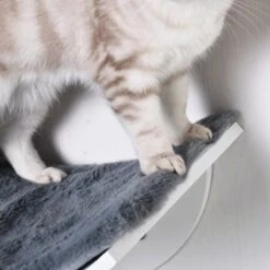 Merkloos Paws And Claws - Cat Shelf – Hangmat Kat – Kattenplank - Kattenbed - Wasbaar – Wandmontage – MDF - Wit 16 Merkloos Paws And Claws - Cat Shelf – Hangmat Kat – Kattenplank - Kattenbed - Wasbaar – Wandmontage – MDF - Wit -Kattenproducten 1200x1200 1031