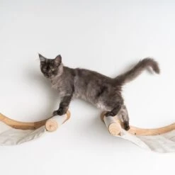 RHRQuality Wandmeubel Wandmontage Klimmuur Kat 53 X 43cm Luxe Hangmat XXL Creme Klim Wand Muur Krabpaal Katten Muurbevestiging -Kattenproducten 1200x1200 1042