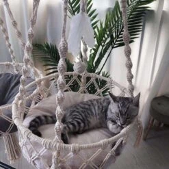 Bonbox Shop - Macrame Hangmat Voor Katten En Kittens - Kattenhammock - Hangmand -Kattenproducten 1200x1200 1057
