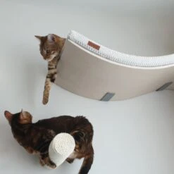 COSY AND DOZY Cat Shelf Deluxe WIT – Hangmat Kat – Maple Hout - 90 X 41 Cm - Kattenplank - Katten Muur -Kattenproducten 1200x1200 1066