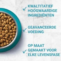 Purina One PURINA® ONE Adult Rijk Aan Kip & Volkoren Granen Brokjes 1,5 Kg 26 Purina One PURINA® ONE Adult Rijk Aan Kip & Volkoren Granen Brokjes 1,5 Kg -Kattenproducten 1200x1200 127