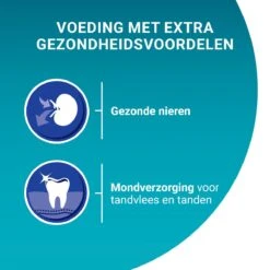 Purina ONE Senior - Kattenvoer Kip & Volkoren Granen - 3 Kg -Kattenproducten 1200x1200 134