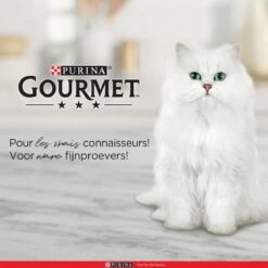 Purina One Purina Gourmet Perle - Mini Filets In Saus - Kalkoen Eend Tonijn & Lam - 40x85g 11 Purina One Purina Gourmet Perle - Mini Filets In Saus - Kalkoen Eend Tonijn & Lam - 40x85g -Kattenproducten 1200x1200 147