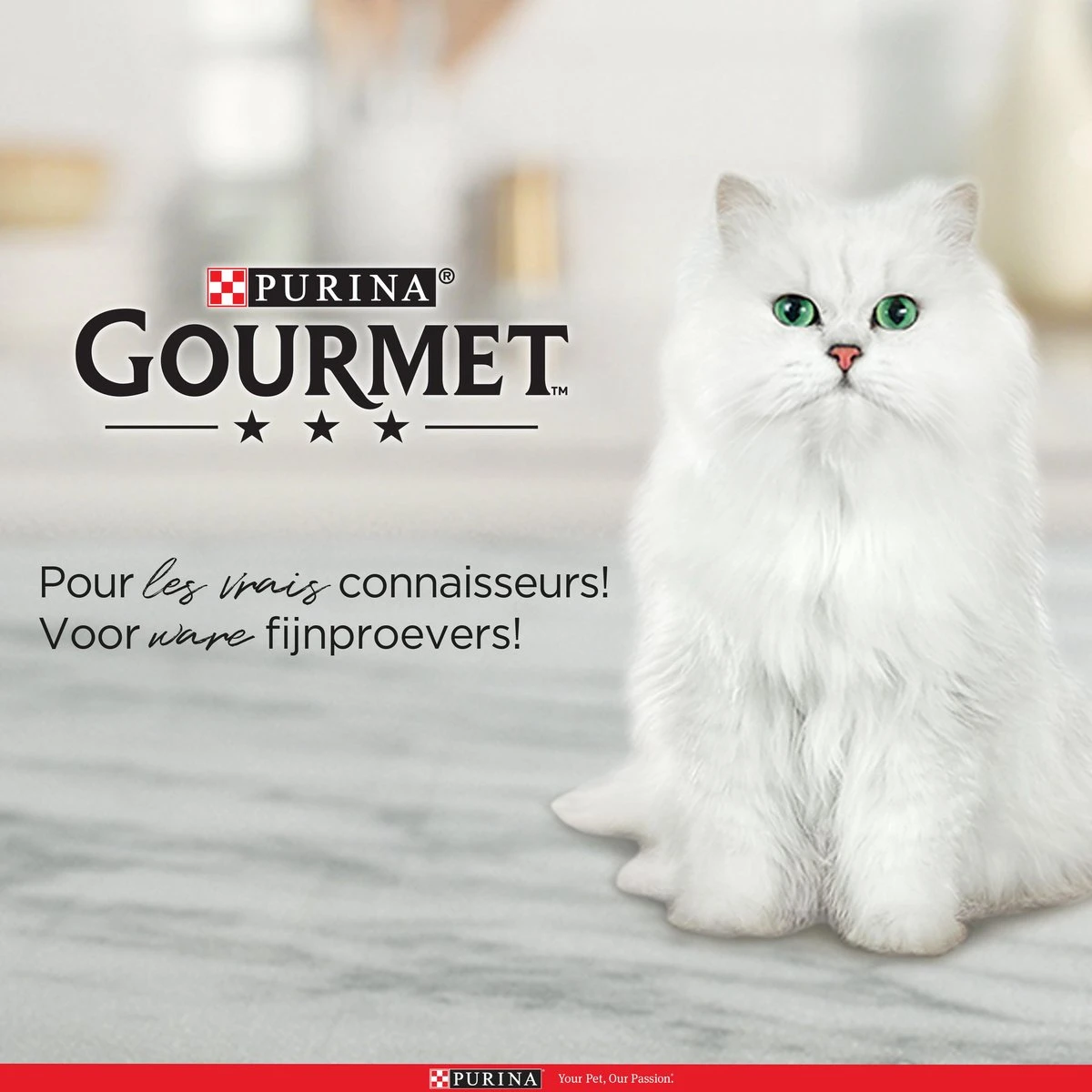 Purina One Purina Gourmet Perle - Mini Filets In Saus - Kalkoen Eend Tonijn & Lam - 40x85g 7 Purina One Purina Gourmet Perle - Mini Filets In Saus - Kalkoen Eend Tonijn & Lam - 40x85g - Afbeelding 5