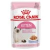 Royal Canin Kitten In Jelly - Kattenvoer - 1020 G 1 Royal Canin Kitten In Jelly - Kattenvoer - 1020 G -Kattenproducten 1200x1200 148