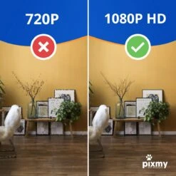 PIXMY - Automatische Voerbak Kat - 4L - Wi-Fi - Met App En Full HD Camera - Voerbak Kat -Kattenproducten 1200x1200 15