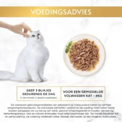 Gourmet Gold Malse Lekkernijen – Kattenvoer Natvoer - Met Kip, Zalm, Rund, Zeevis – 48 X 85 Gr 16 Gourmet Gold Malse Lekkernijen – Kattenvoer Natvoer - Met Kip, Zalm, Rund, Zeevis – 48 X 85 Gr -Kattenproducten 1200x1200 164