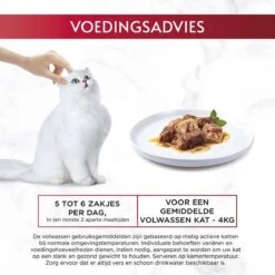 Gourmet Mon Petit Intense - Kattenvoer Natvoer - Duo Vis/Vlees - 24 X 50 Gr 16 Gourmet Mon Petit Intense - Kattenvoer Natvoer - Duo Vis/Vlees - 24 X 50 Gr -Kattenproducten 1200x1200 173