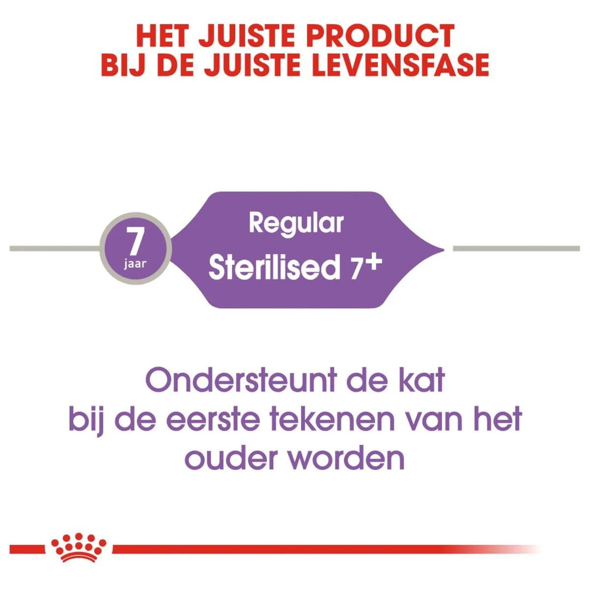 Royal Canin Sterilised 7+ - Kattenvoer - 10 Kg 11 Royal Canin Sterilised 7+ - Kattenvoer - 10 Kg - Afbeelding 9