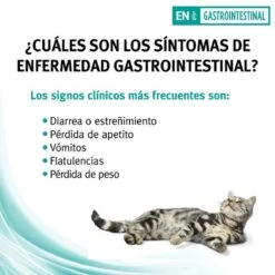 Pro Plan Veterinary Diets Feline Gastro-intestinal - Kattenvoer- 5kg 12 Pro Plan Veterinary Diets Feline Gastro-intestinal - Kattenvoer- 5kg -Kattenproducten 1200x1200 199