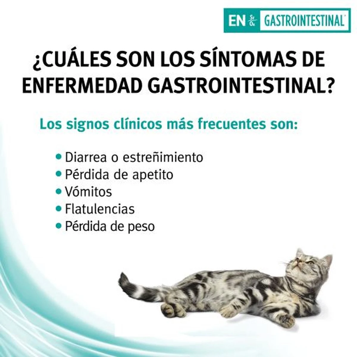 Pro Plan Veterinary Diets Feline Gastro-intestinal - Kattenvoer- 5kg 7 Pro Plan Veterinary Diets Feline Gastro-intestinal - Kattenvoer- 5kg - Afbeelding 5