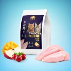Avalon Petfood + Verse Kip Super Premium - Kattenvoer - 5Kg 9 Avalon Petfood + Verse Kip Super Premium - Kattenvoer - 5Kg -Kattenproducten 1200x1200 208