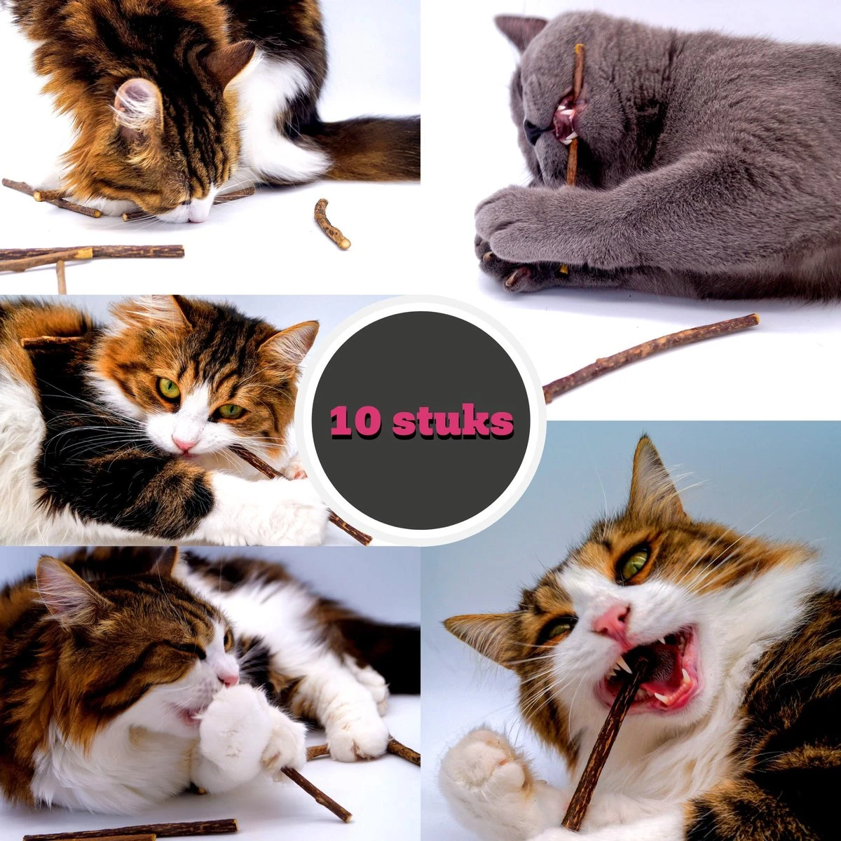 Make Me Purr Matatabi Sticks (10 Stuks) - Silver Vine Kattenkruid Stokjes - Catnip Effect Kauwstokjes - Kattensnack Kattensnoepjes - Kattenspeelgoed Kattenspeeltjes 3 Make Me Purr Matatabi Sticks (10 Stuks) - Silver Vine Kattenkruid Stokjes - Catnip Effect Kauwstokjes - Kattensnack Kattensnoepjes - Kattenspeelgoed Kattenspeeltjes