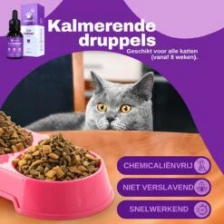 Aerend - Kalmerende Druppels Voor Katten - Anti-stress - Zanipro® 30ml - 100% Natuurlijk Uit Het Verenigd Koninkrijk - Met Ashwagandha & Valeriaan - No Stress Druppels Om Gedragsproblemen Te Verlichten - Voor Thuis En Onderweg -Kattenproducten 1200x1200 218