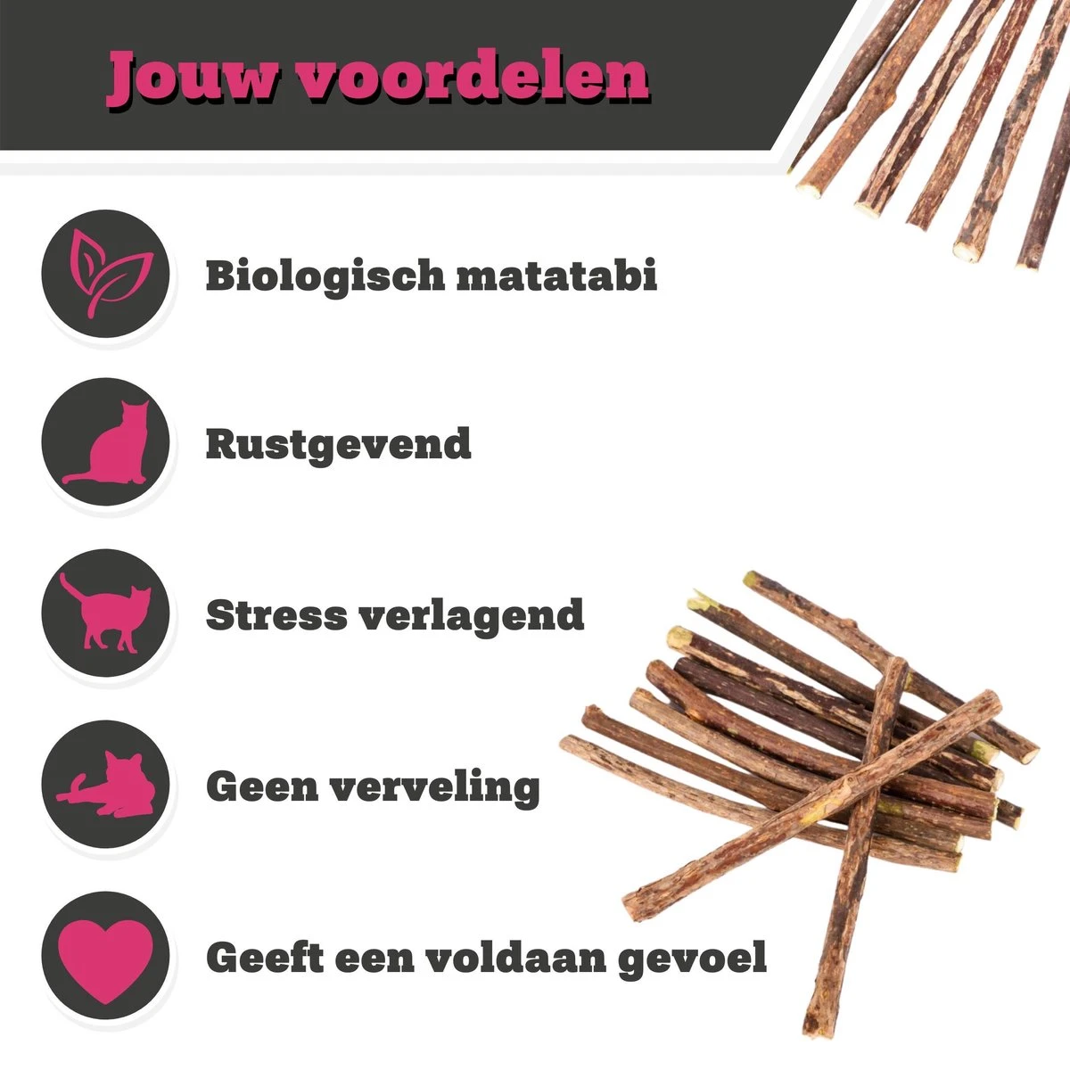 Make Me Purr Matatabi Sticks (5 Stuks) - Silver Vine Kattenkruid Stokjes - Catnip Effect Kauwstokjes - Kattensnack Kattensnoepjes - Kattenspeelgoed Kattenspeeltjes 4 Make Me Purr Matatabi Sticks (5 Stuks) - Silver Vine Kattenkruid Stokjes - Catnip Effect Kauwstokjes - Kattensnack Kattensnoepjes - Kattenspeelgoed Kattenspeeltjes - Afbeelding 2