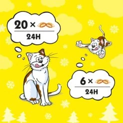 Catisfactions Kattensnack - Zalm - 6 X 60 Gr -Kattenproducten 1200x1200 233