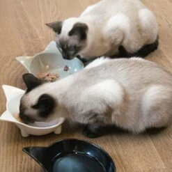 Navaris Voerbakjes Voor Katten - Set Van 3 Voer- En Waterbakken - Met Kattenkopjes Vorm - Antislip - Etensbakjes In Grijs, Wit En Zwart 12 Navaris Voerbakjes Voor Katten - Set Van 3 Voer- En Waterbakken - Met Kattenkopjes Vorm - Antislip - Etensbakjes In Grijs, Wit En Zwart -Kattenproducten 1200x1200