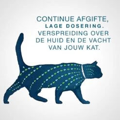 Seresto Teken- En Vlooienband - Anti Tekenmiddel - Kat - 38 Cm 31 Seresto Teken- En Vlooienband - Anti Tekenmiddel - Kat - 38 Cm -Kattenproducten 1200x1200 259