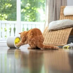 BeOneBreed Intellikatt - Slowfeeder Voor Katten - Voerpuzzel Aanbevolen Door Dierenartsen En Kattengedragsdeskundigen 14 BeOneBreed Intellikatt - Slowfeeder Voor Katten - Voerpuzzel Aanbevolen Door Dierenartsen En Kattengedragsdeskundigen -Kattenproducten 1200x1200 26