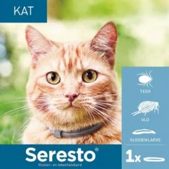 Seresto Teken- En Vlooienband - Anti Tekenmiddel - Kat - 38 Cm 41 Seresto Teken- En Vlooienband - Anti Tekenmiddel - Kat - 38 Cm -Kattenproducten 1200x1200 260