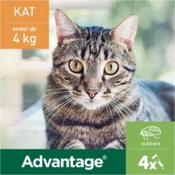 Bayer Advantage 40 Tegen Vlooien - <4kg - 4 X 0,4 Ml - Adult 27 Bayer Advantage 40 Tegen Vlooien - <4kg - 4 X 0,4 Ml - Adult -Kattenproducten 1200x1200 263