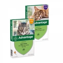 Bayer Advantage 40 Tegen Vlooien - <4kg - 4 X 0,4 Ml - Adult 38 Bayer Advantage 40 Tegen Vlooien - <4kg - 4 X 0,4 Ml - Adult -Kattenproducten 1200x1200 264