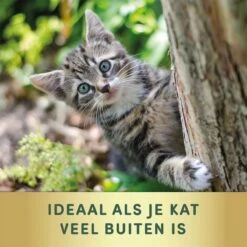 3 Stuks Vlooienband Kat Tekenband - 100% Natuurlijk Veilig En Waterbestendig -Kattenproducten 1200x1200 266