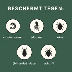 3 Stuks Vlooienband Kat Tekenband - 100% Natuurlijk Veilig En Waterbestendig -Kattenproducten 1200x1200 269