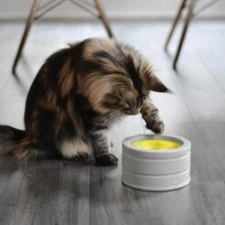 BeOneBreed Intellikatt - Slowfeeder Voor Katten - Voerpuzzel Aanbevolen Door Dierenartsen En Kattengedragsdeskundigen 15 BeOneBreed Intellikatt - Slowfeeder Voor Katten - Voerpuzzel Aanbevolen Door Dierenartsen En Kattengedragsdeskundigen -Kattenproducten 1200x1200 27