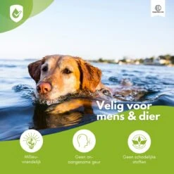 Essential Link Teken- En Vlooienband - Vlooienband Kat/Hond – Anti Vlooien – Vlooienmiddel - Tekenband - Diervriendelijk 13 Essential Link Teken- En Vlooienband - Vlooienband Kat/Hond – Anti Vlooien – Vlooienmiddel - Tekenband - Diervriendelijk -Kattenproducten 1200x1200 273