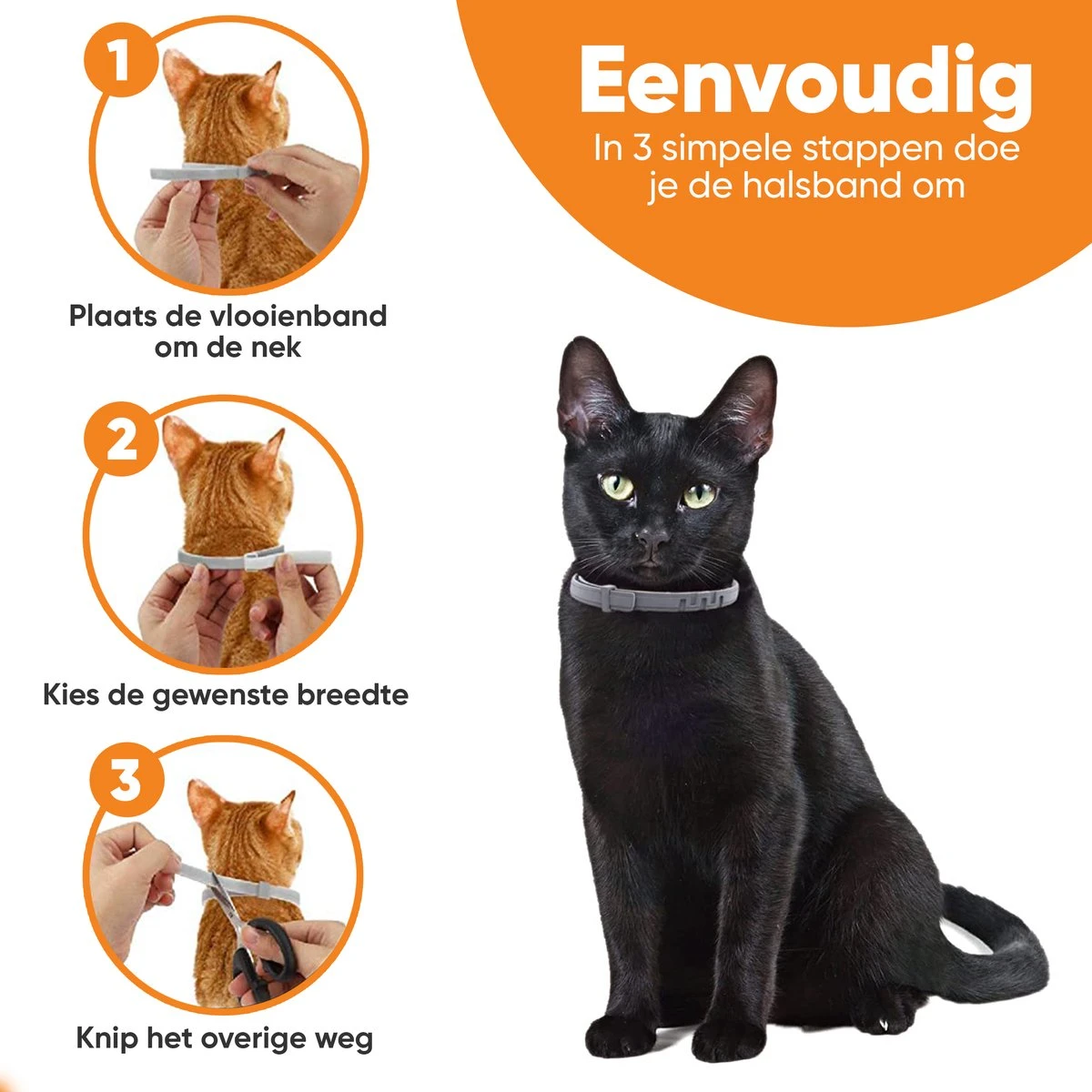 Nafurapets Vlooienband Voor Kat – Anti Vlooien – Teken Band – 100% Natuurlijk – 8 Maanden Bescherming – Grote & Kleine Kat 4 Nafurapets Vlooienband Voor Kat – Anti Vlooien – Teken Band – 100% Natuurlijk – 8 Maanden Bescherming – Grote & Kleine Kat - Afbeelding 2