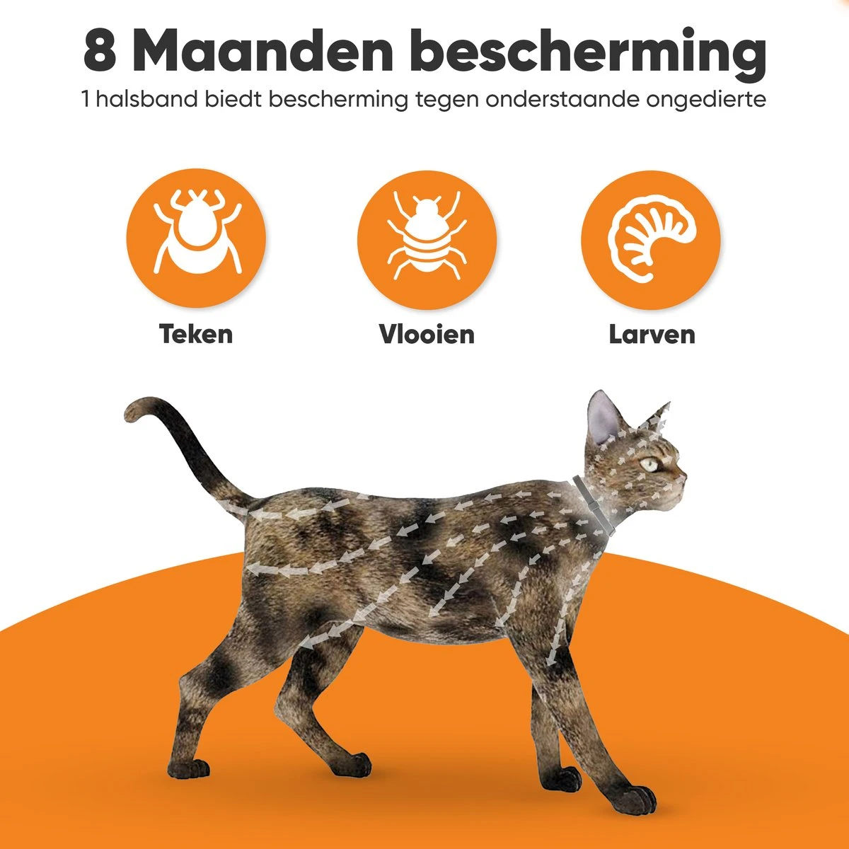 Nafurapets Vlooienband Voor Kat – Anti Vlooien – Teken Band – 100% Natuurlijk – 8 Maanden Bescherming – Grote & Kleine Kat 6 Nafurapets Vlooienband Voor Kat – Anti Vlooien – Teken Band – 100% Natuurlijk – 8 Maanden Bescherming – Grote & Kleine Kat - Afbeelding 4