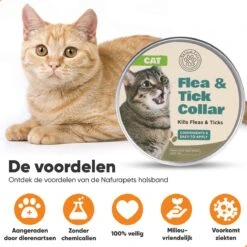 Nafurapets Vlooienband Voor Kat – Anti Vlooien – Teken Band – 100% Natuurlijk – 8 Maanden Bescherming – Grote & Kleine Kat 15 Nafurapets Vlooienband Voor Kat – Anti Vlooien – Teken Band – 100% Natuurlijk – 8 Maanden Bescherming – Grote & Kleine Kat -Kattenproducten 1200x1200 280