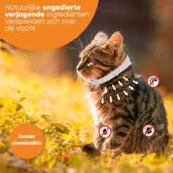 Nafurapets Vlooienband Voor Kat – Anti Vlooien – Teken Band – 100% Natuurlijk – 8 Maanden Bescherming – Grote & Kleine Kat 17 Nafurapets Vlooienband Voor Kat – Anti Vlooien – Teken Band – 100% Natuurlijk – 8 Maanden Bescherming – Grote & Kleine Kat -Kattenproducten 1200x1200 282
