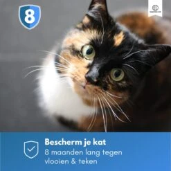 Essential Link Teken- En Vlooienband - Vlooienband Kat – Anti Vlooien – Vlooienmiddel - Tekenband - Diervriendelijk 19 Essential Link Teken- En Vlooienband - Vlooienband Kat – Anti Vlooien – Vlooienmiddel - Tekenband - Diervriendelijk -Kattenproducten 1200x1200 289