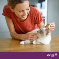 VECTRA Felis - Vlooiendruppels - Voor Katten 0.6 T/m 10 Kg - 3 Pipetten 9 VECTRA Felis - Vlooiendruppels - Voor Katten 0.6 T/m 10 Kg - 3 Pipetten -Kattenproducten 1200x1200 293