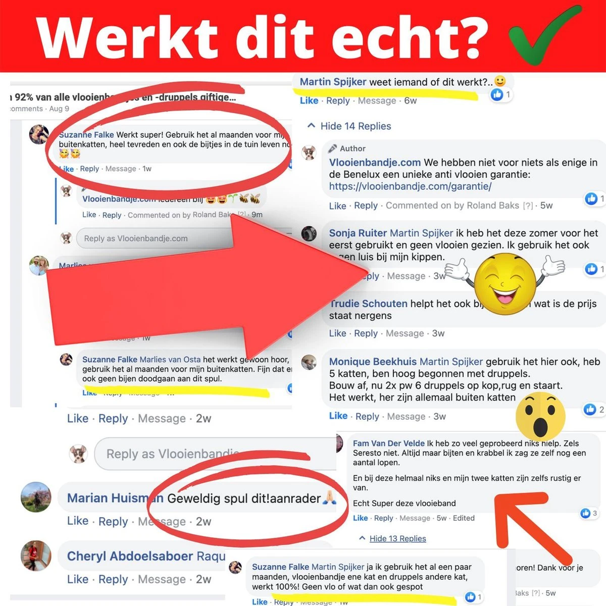 Natuurlijke Vlooiendruppels Voor Katten - Vanaf 4 Kg - 100% Natuurlijk - Vlooien - Zonder Giftige Pesticiden - 30 Ml - Speciale Formule Voor Katten - Vachtdruppels - Made In Holland 8 Natuurlijke Vlooiendruppels Voor Katten - Vanaf 4 Kg - 100% Natuurlijk - Vlooien - Zonder Giftige Pesticiden - 30 Ml - Speciale Formule Voor Katten - Vachtdruppels - Made In Holland - Afbeelding 6