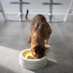 BeOneBreed Intellikatt - Slowfeeder Voor Katten - Voerpuzzel Aanbevolen Door Dierenartsen En Kattengedragsdeskundigen 19 BeOneBreed Intellikatt - Slowfeeder Voor Katten - Voerpuzzel Aanbevolen Door Dierenartsen En Kattengedragsdeskundigen -Kattenproducten 1200x1200 30