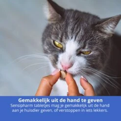 Sensipharm Omniderma Voor Kat, Hondje, Cavia, Konijn - Voedingssupplement Voor Huid En Vacht, Bij Jeuk, Eczeem & Hotspot - 90 Tabletten à 250 Mg 13 Sensipharm Omniderma Voor Kat, Hondje, Cavia, Konijn - Voedingssupplement Voor Huid En Vacht, Bij Jeuk, Eczeem & Hotspot - 90 Tabletten à 250 Mg -Kattenproducten 1200x1200 308