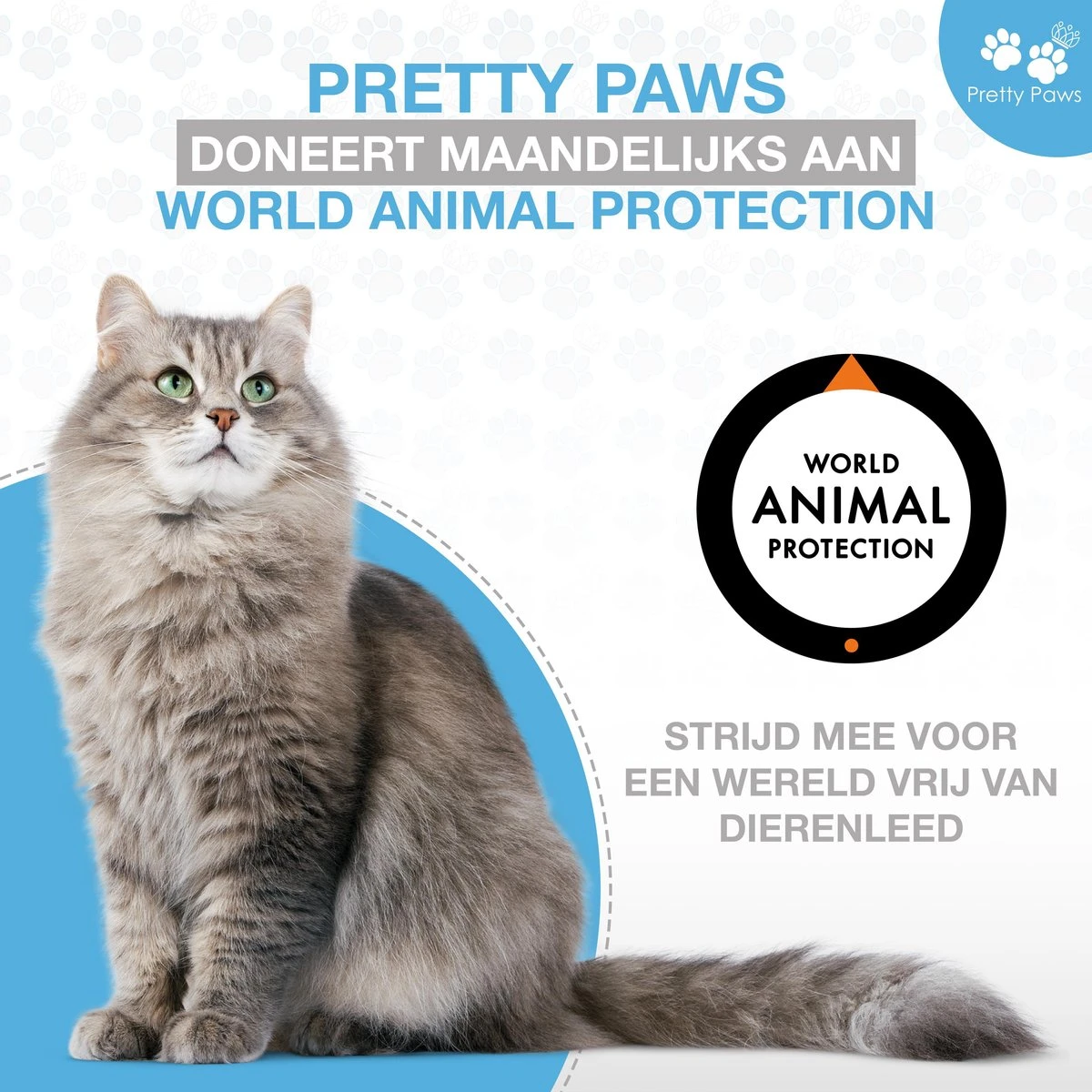 Pretty Paws PP002 Professionele Automatische Voerbak Kat- Stemrecorder - Voerautomaat - Katten Voerbak - Minimalistisch 15 Pretty Paws PP002 Professionele Automatische Voerbak Kat- Stemrecorder - Voerautomaat - Katten Voerbak - Minimalistisch - Afbeelding 13