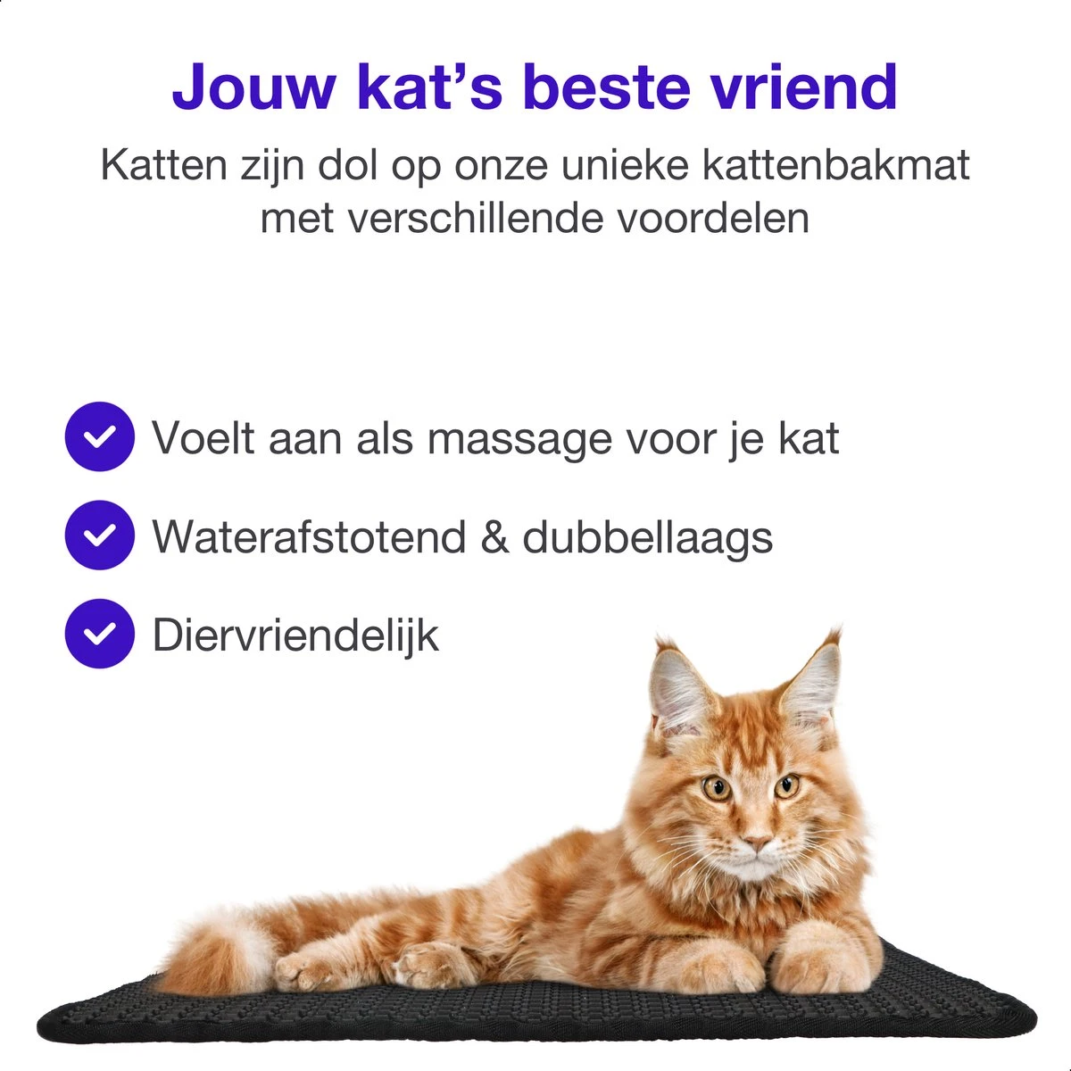 SIMU Lifestyle - Kattenbakmat - Grit Opvanger - Dubbele Laag - Waterdicht - Zwart - 50x40 Cm 7 SIMU Lifestyle - Kattenbakmat - Grit Opvanger - Dubbele Laag - Waterdicht - Zwart - 50x40 Cm - Afbeelding 5