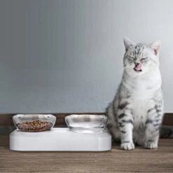 Behave Dubbele Voerbak - Drinkbak - Katten - Verstelbaar - Wit 12 Behave Dubbele Voerbak - Drinkbak - Katten - Verstelbaar - Wit -Kattenproducten 1200x1200 41