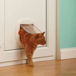 Petsafe Kattenluik - Grote Kat - Transparant 21 Petsafe Kattenluik - Grote Kat - Transparant -Kattenproducten 1200x1200 422