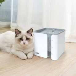 Nobleza USB Drinkfontein Voor Hond/Kat - 2L - Incl. 2 Filters - Wit -Kattenproducten 1200x1200 49