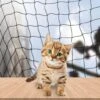 Kattennet Premium EXTRA STEVIG - 600 X 300 CM - Kattennet Voor Balkon - Zwart - Balkon Net - Makkelijk Te Monteren 2 Kattennet Premium EXTRA STEVIG - 600 X 300 CM - Kattennet Voor Balkon - Zwart - Balkon Net - Makkelijk Te Monteren -Kattenproducten 1200x1200 490