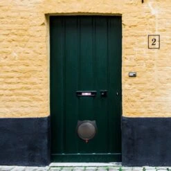 Cellavi XL Kattenluik Zwart Met Tunnel - Hondenluik - 4 Vergrendelingsstanden - 30,5 X 27,5 X 7,5 Cm -Kattenproducten 1200x1200 529